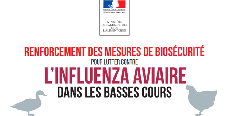 Influenza aviaire