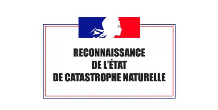 Reconnaissance de catastrophe naturelle 