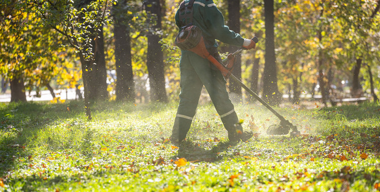 Entretien des Espaces Verts