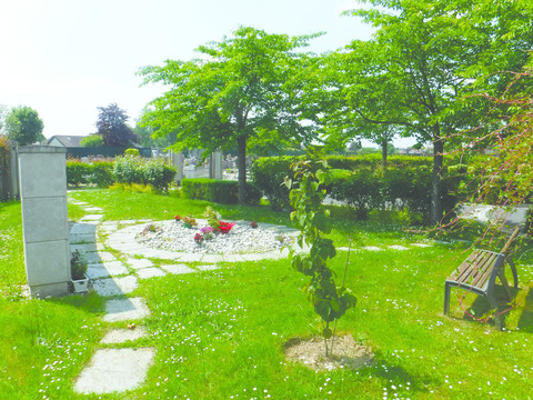 Arbre aux mouchoirs au cimetière Notre Dame